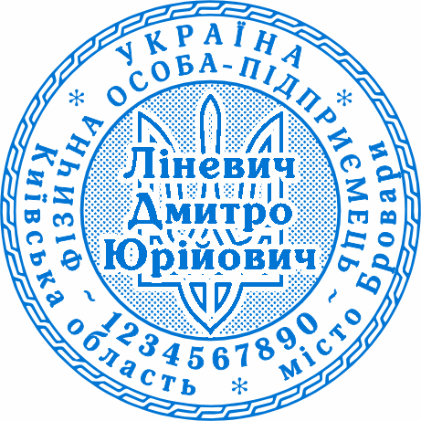 Печатка ФОП Бровари для документації